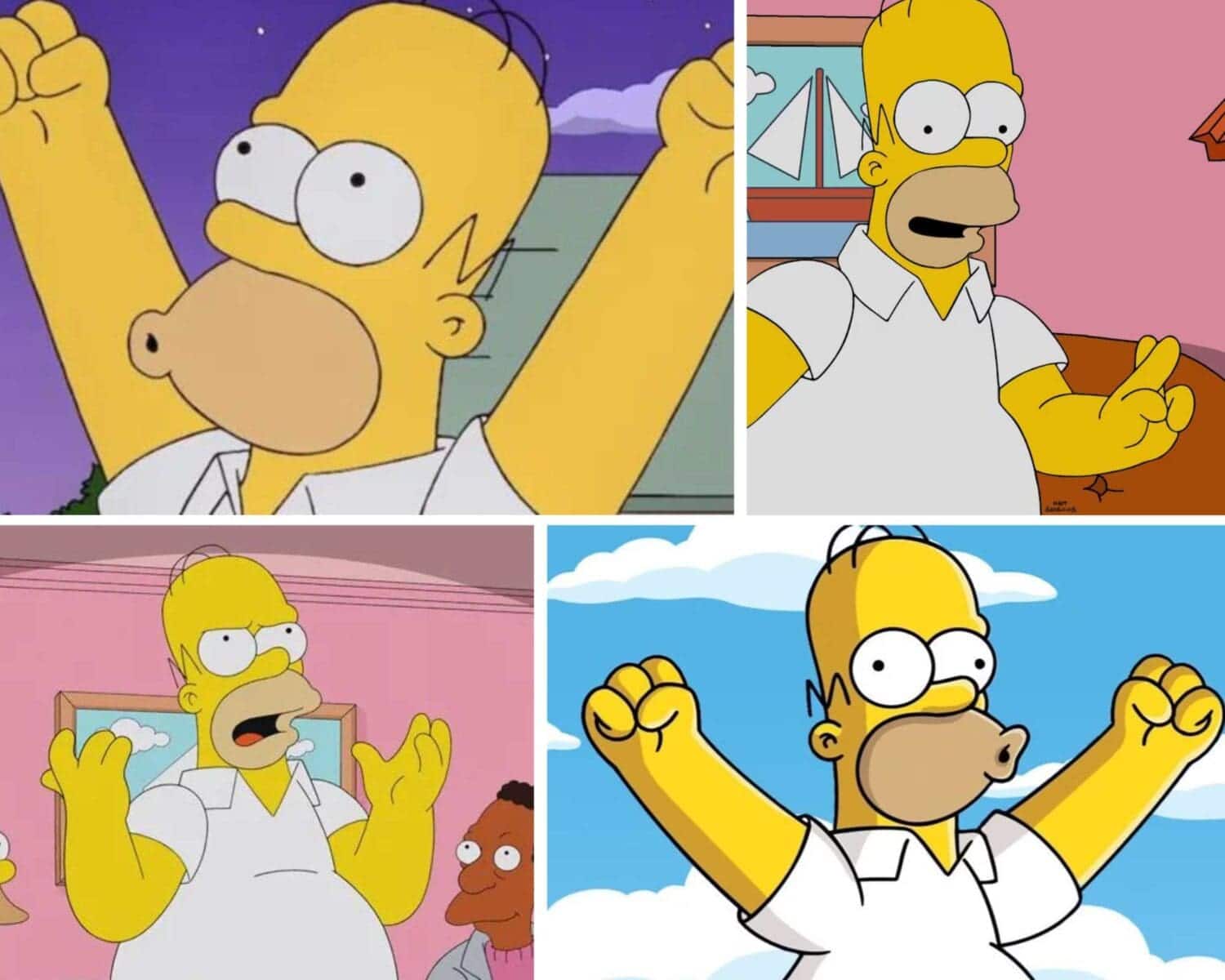 Homer Simpson D'oh