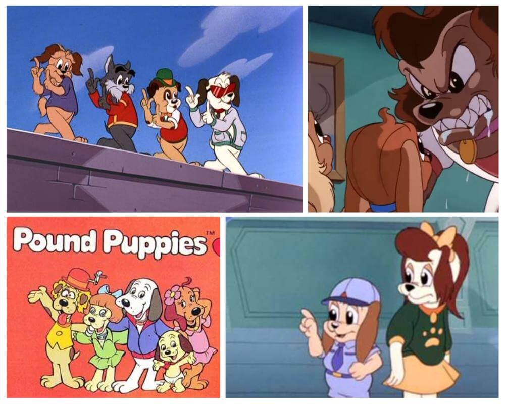 Cooler and the gang from Pound Puppies
