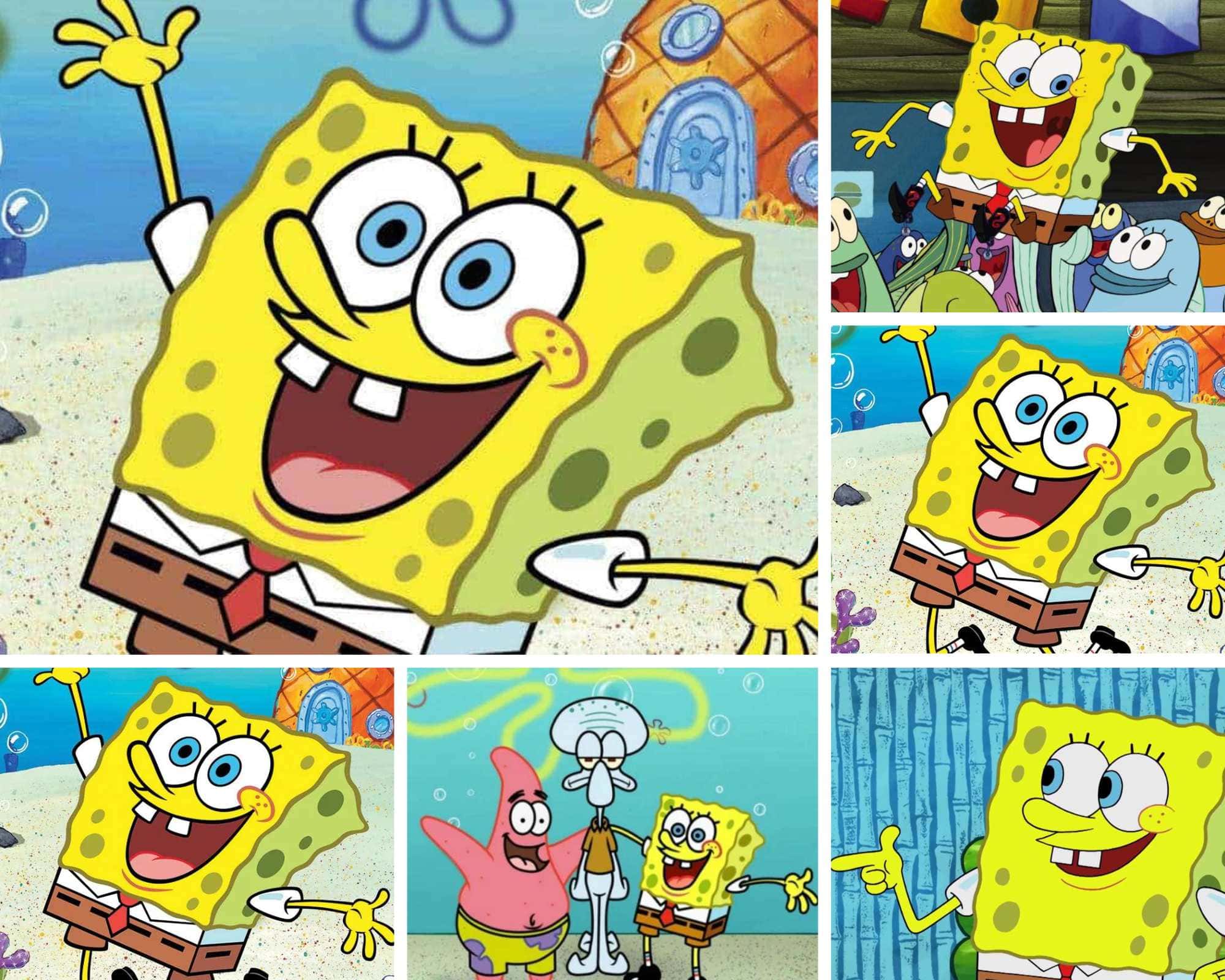 SpongeBob laughing