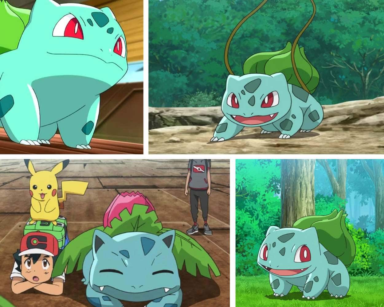 Bulbasaur green Pokemon character known for plant bulb on its back and starter status