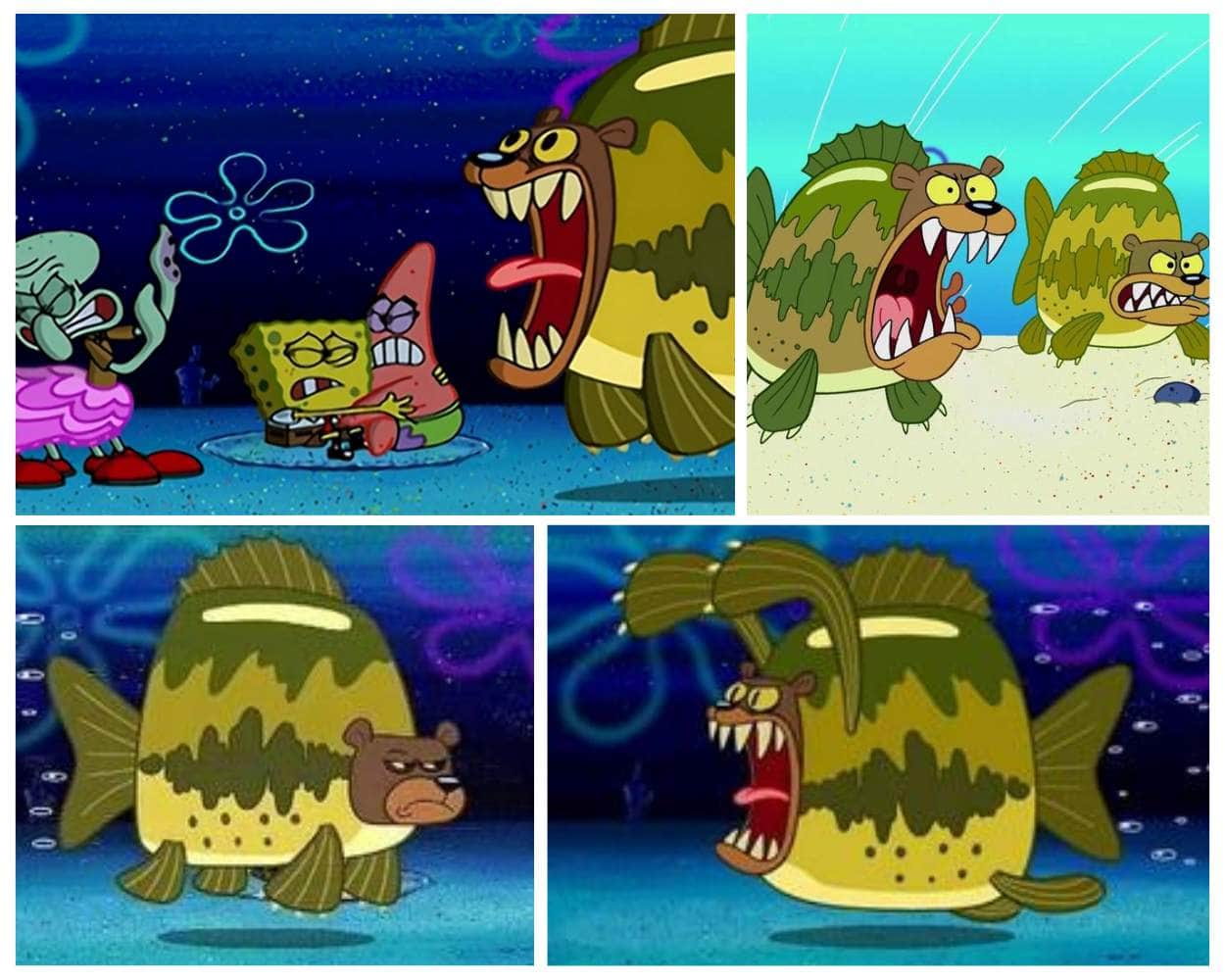 Sea Bear - SpongeBob