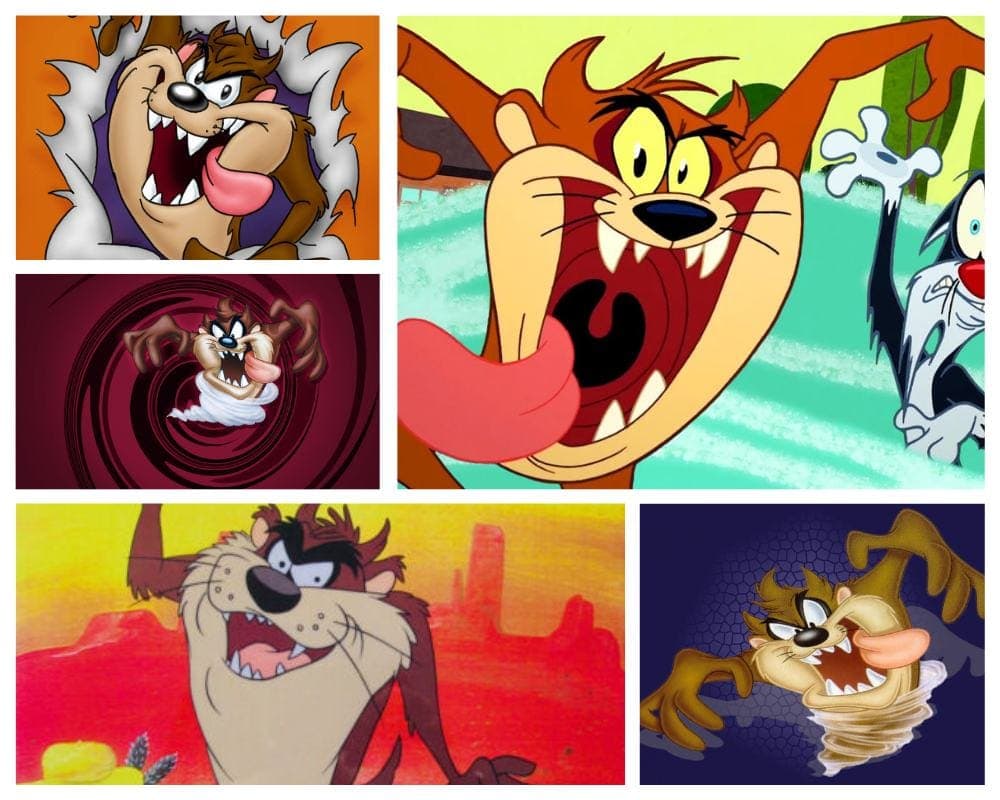 The Tasmanian Devil as a very fast spinning cartoon character