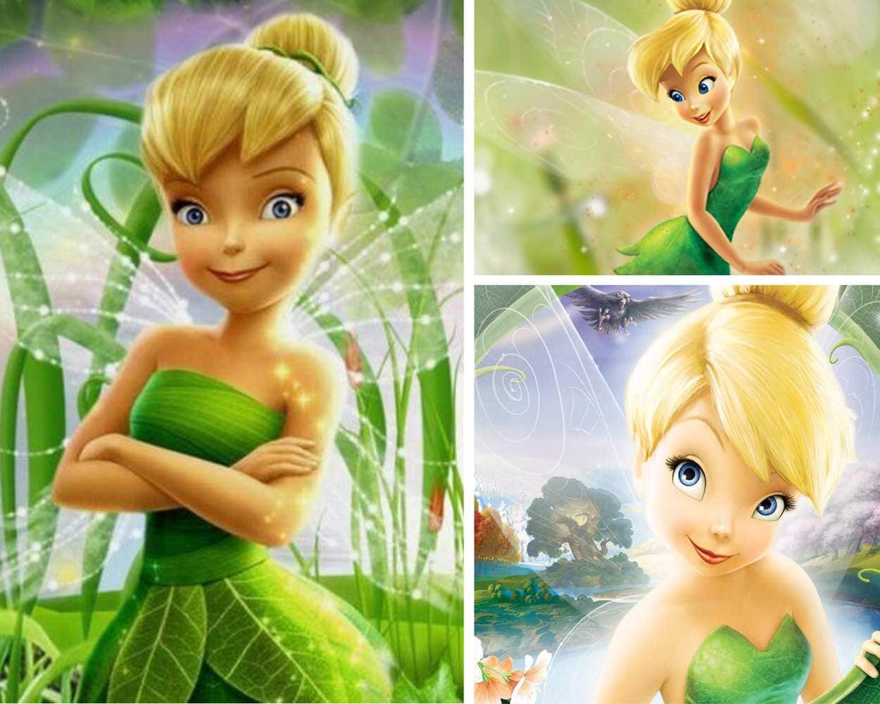 Tinker Bell blonde hair cartoon character