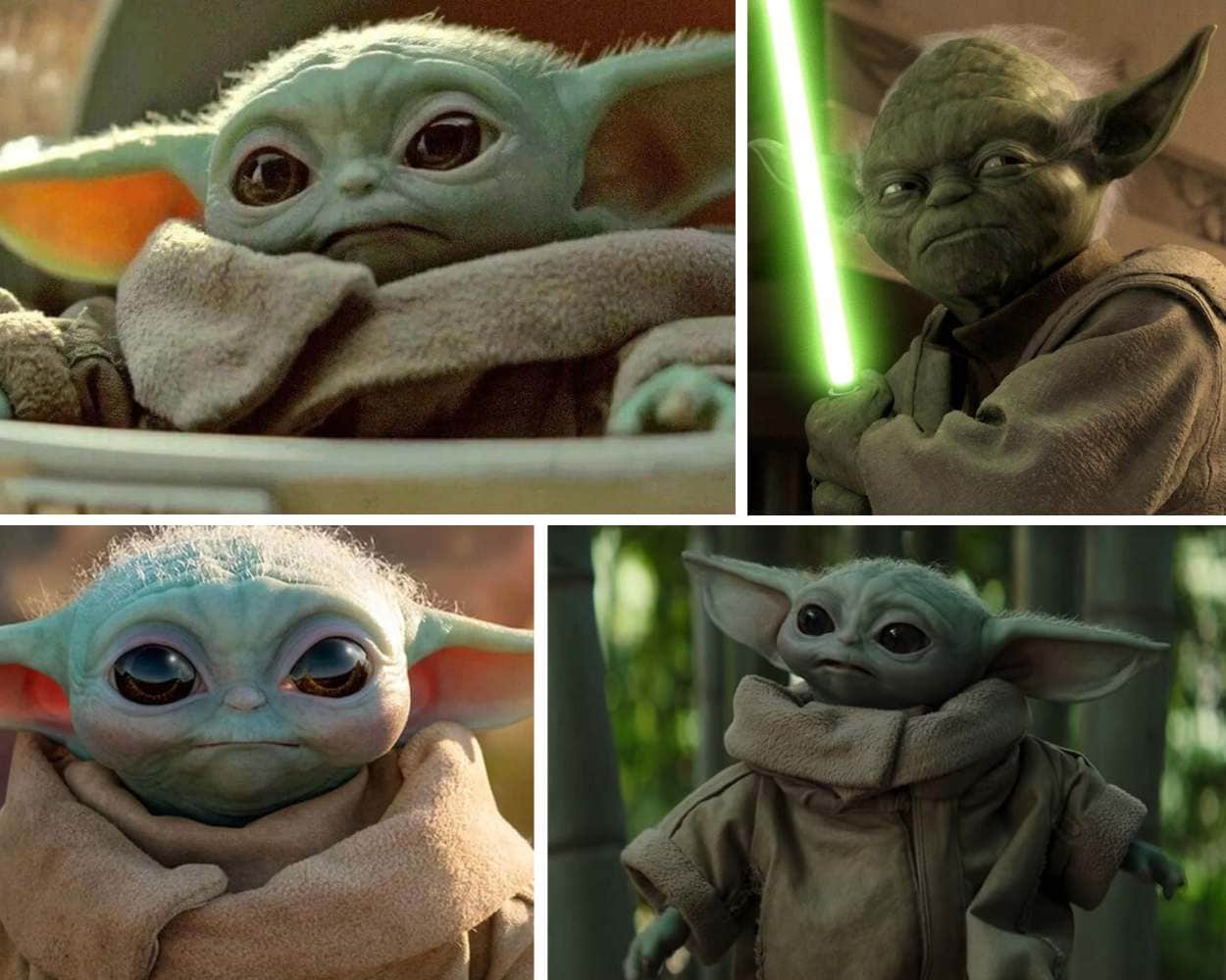Yoda small green character from Star Wars known for wisdom, the Force, and legendary mentor status