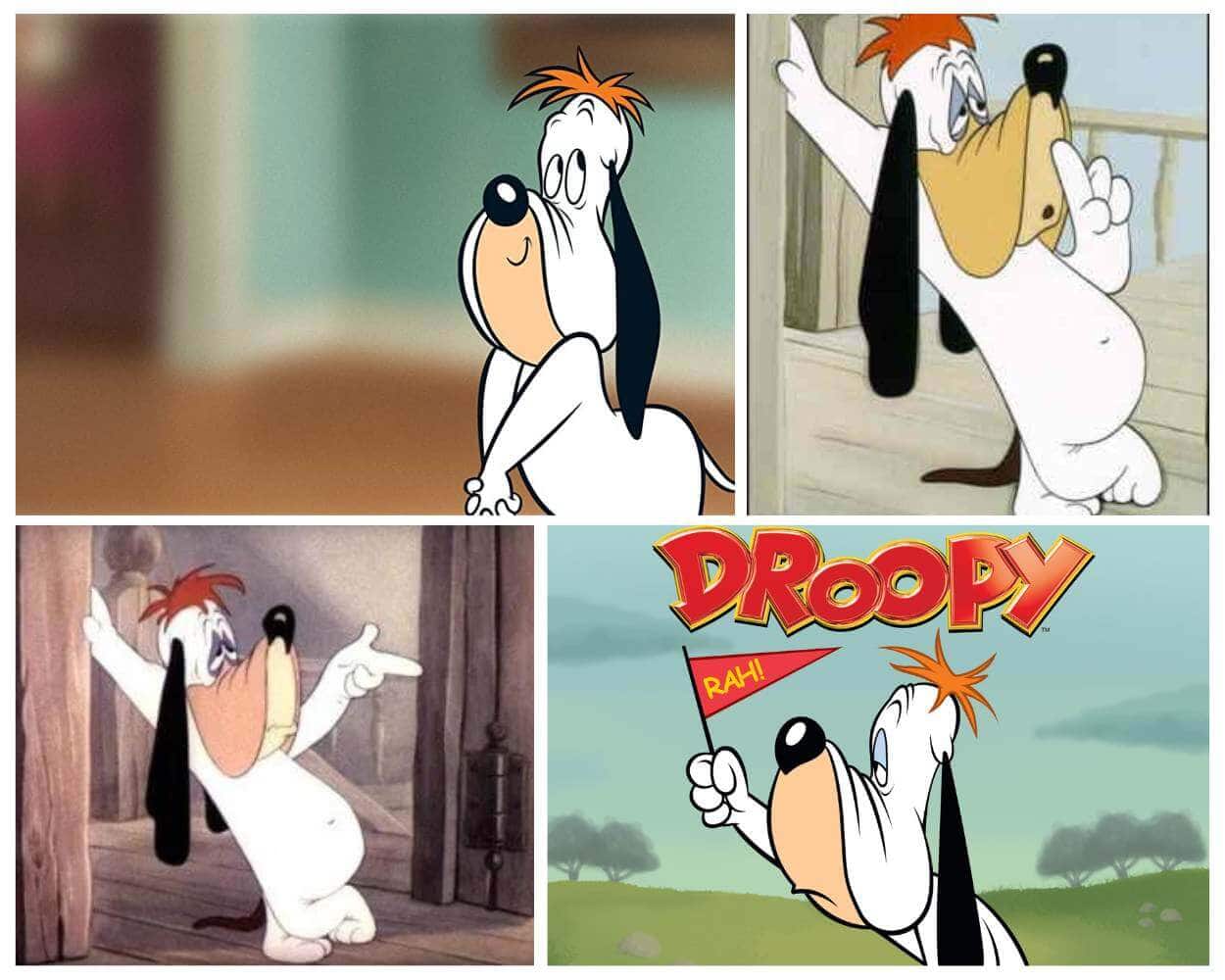 Droopy classic white cartoon dog character
