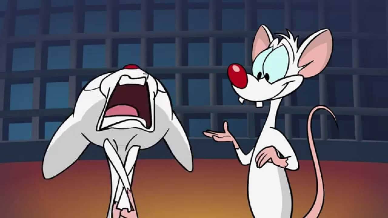 Pinky and the Brain classic white cartoon characters