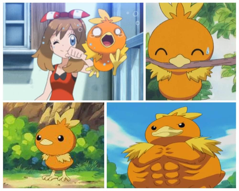 Torchic - chicken Pokemon character