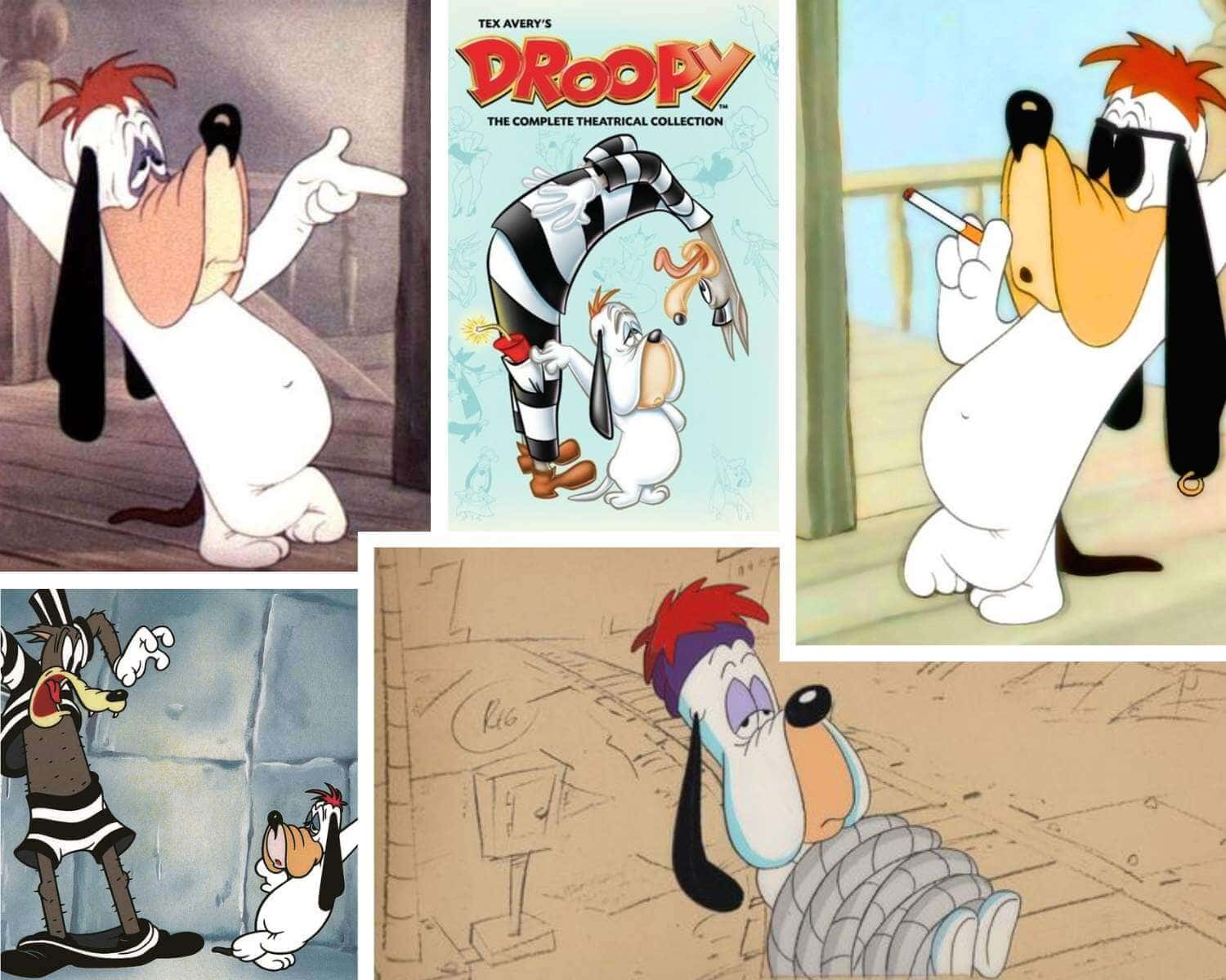 Droopy Dog the deadpan basset hound from MGM cartoons by Tex Avery