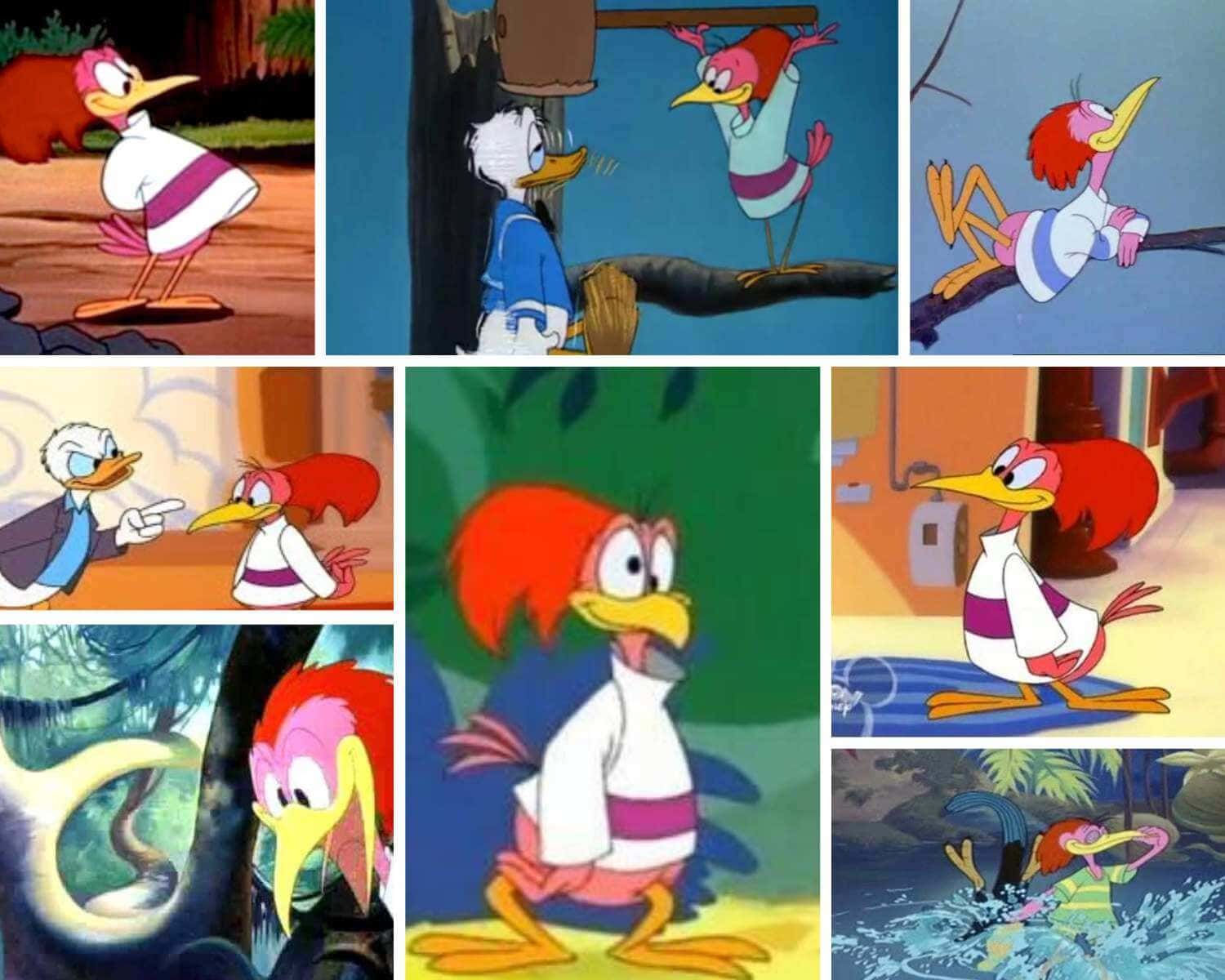 Aracuan Bird as one of Disney's most chaotic bird cartoon characters