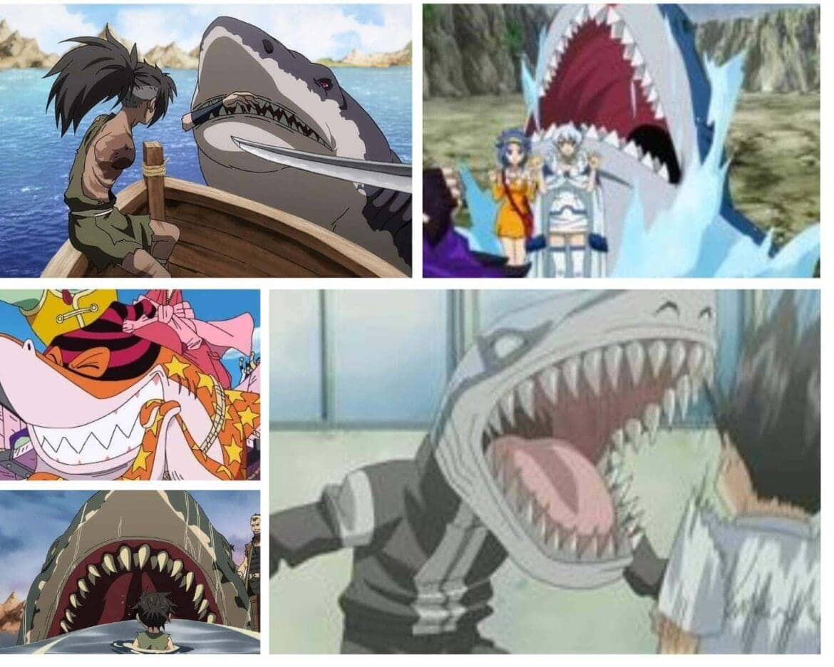 shark anime characters