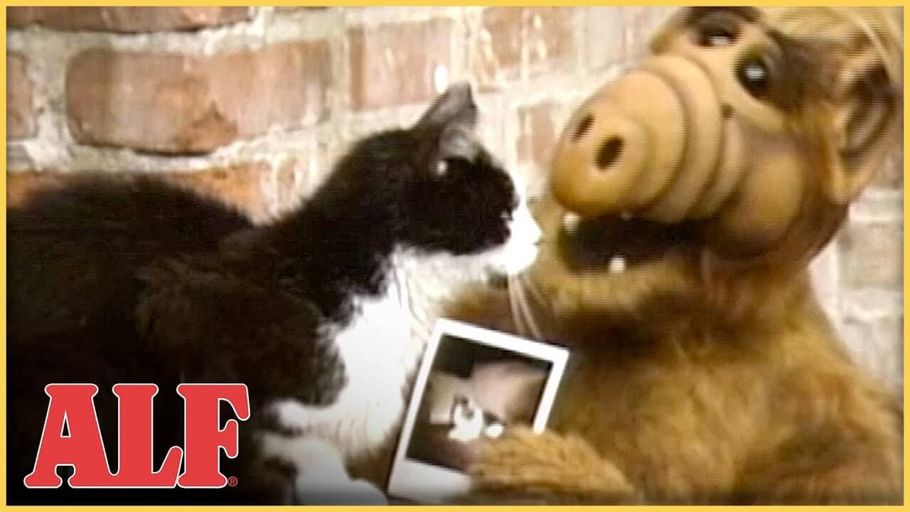 ALF the wisecracking cat-loving alien from planet Melmac