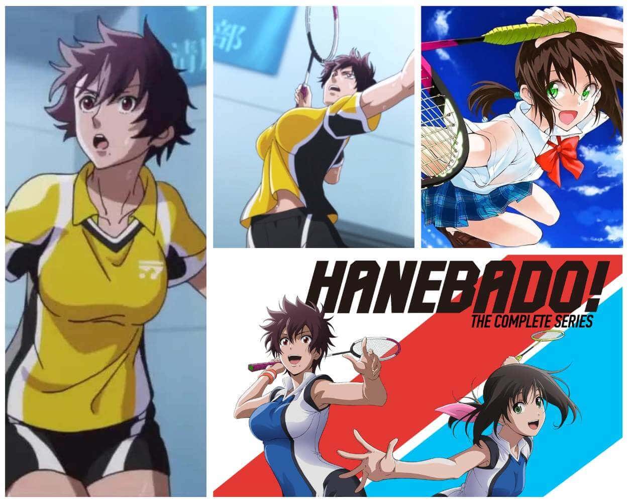 Hanebado badminton anime series