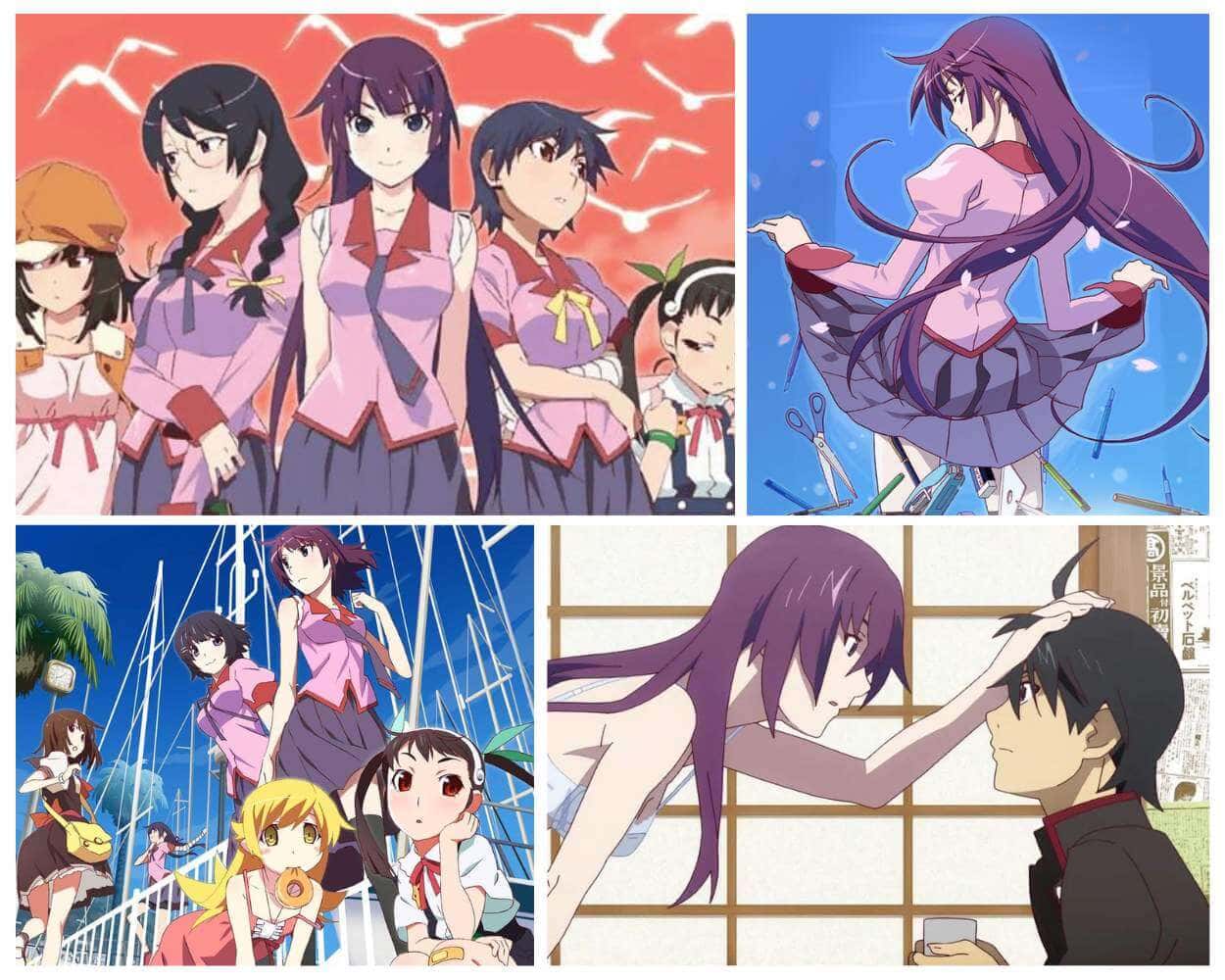 Bakemonogatari the Monogatari series with fan service