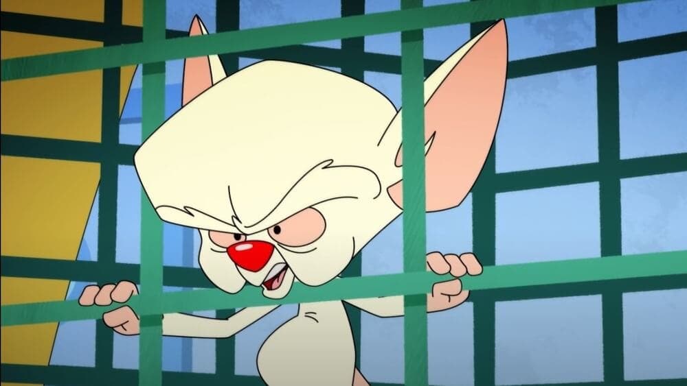 The Brain from Pinky and the Brain the world-conquering mouse