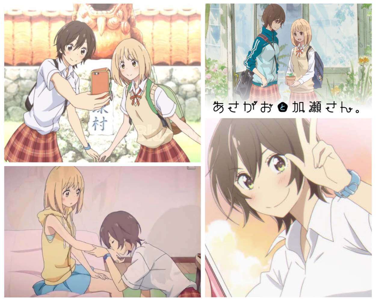 Kase-san and Morning Glories the gentle yuri anime film
