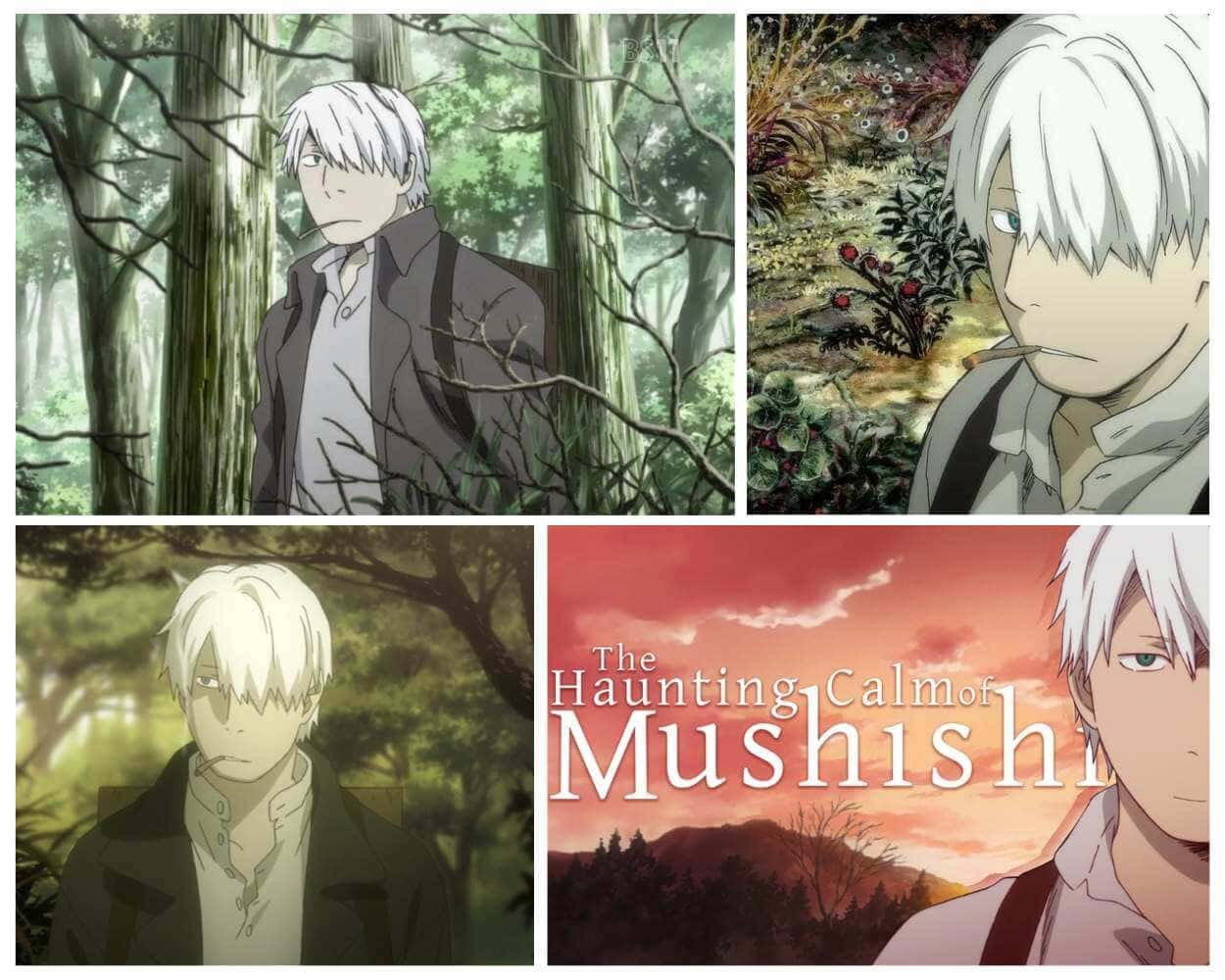 Mushishi supernatural anime