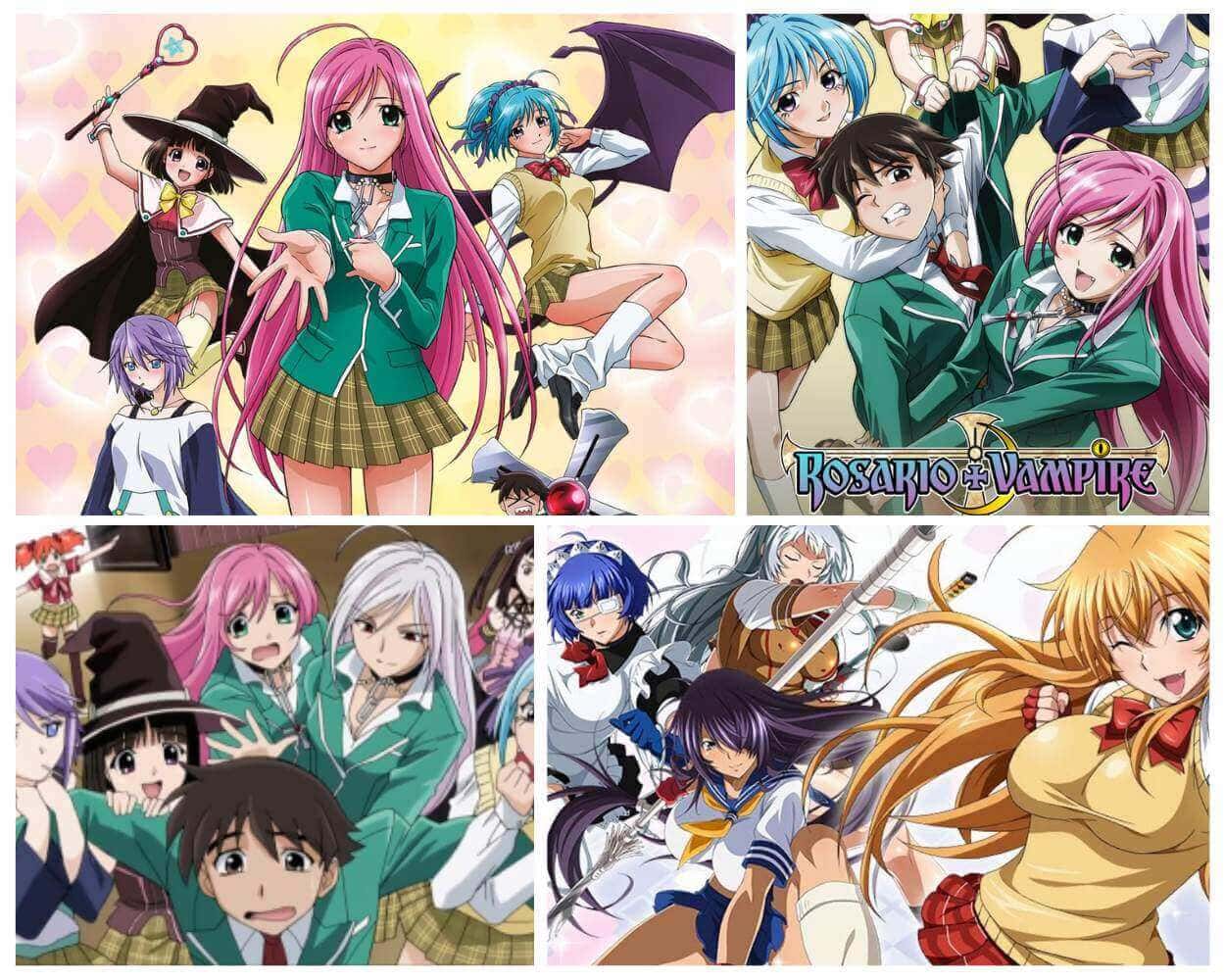 Rosario Vampire the monster girl school harem