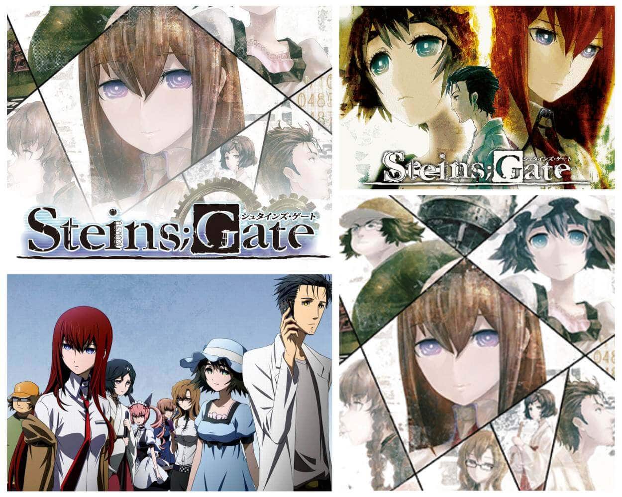 Steins Gate anime about time travel