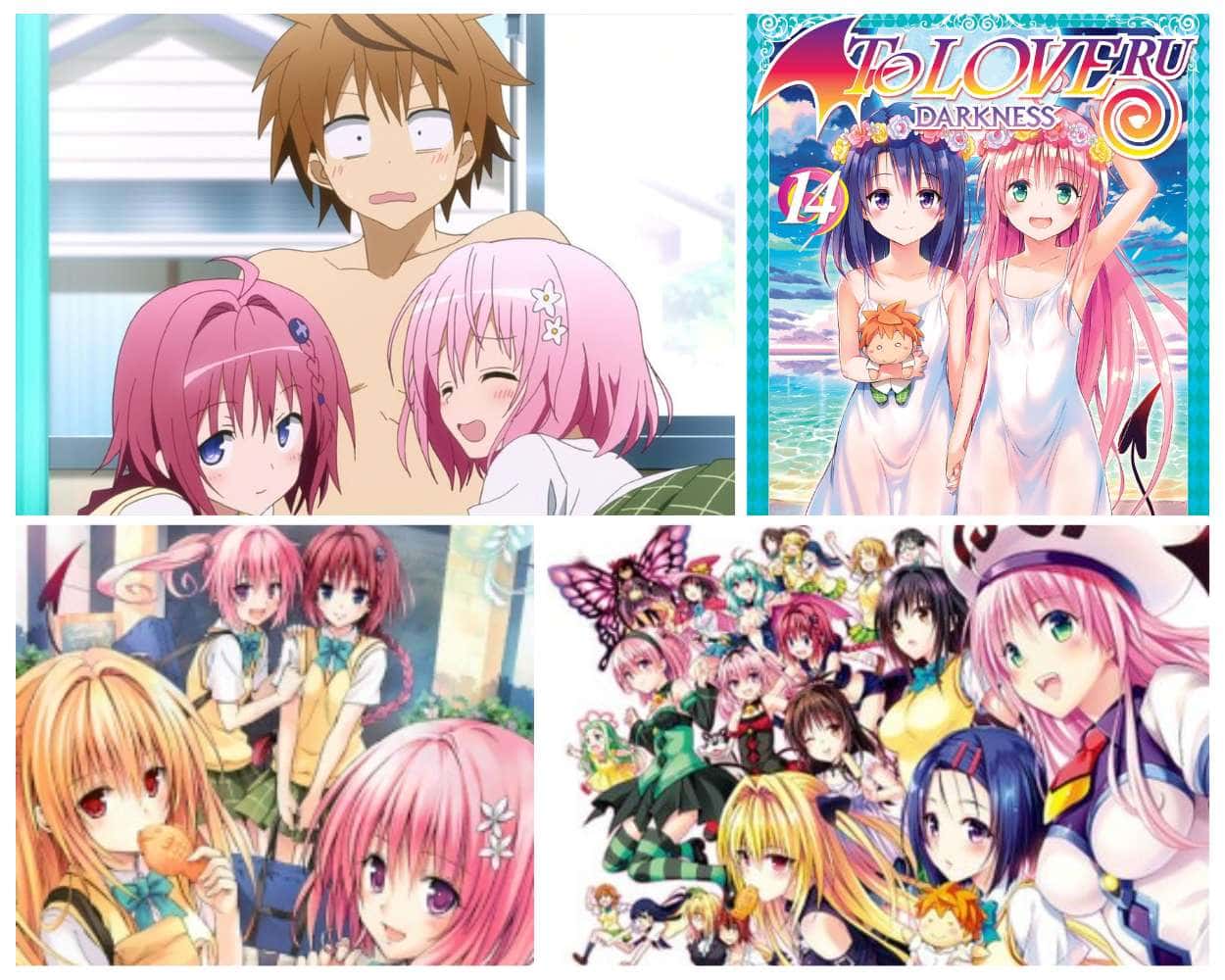 To LOVE-Ru the harem ecchi anime classic