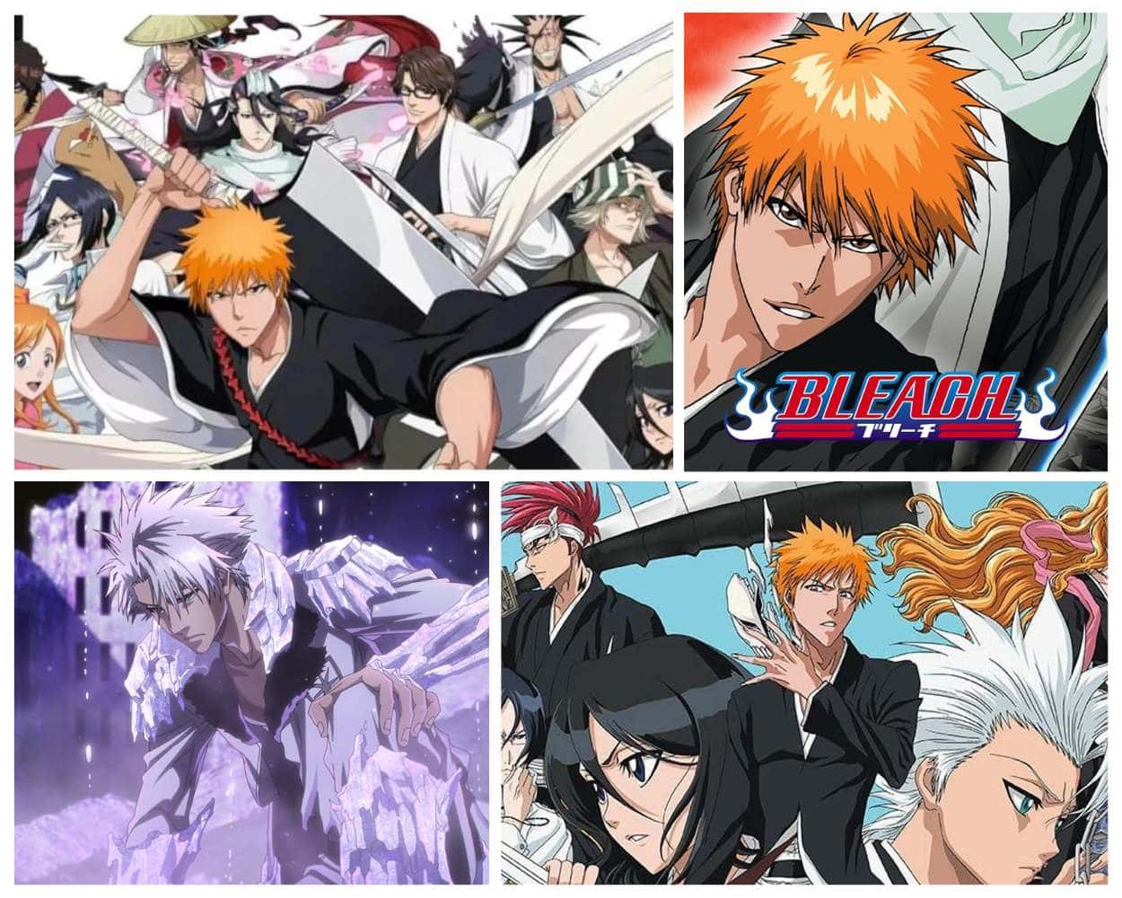 Bleach the Soul Reaper anime on Toonami
