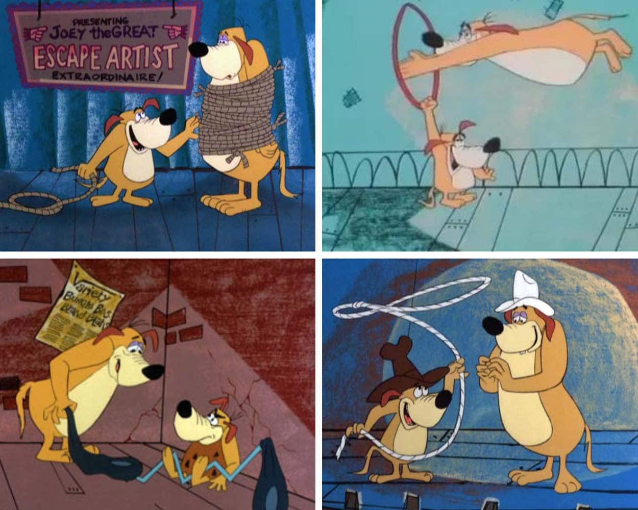Bungle Brothers - George and Joey vaudeville dogs Kwicky Koala
