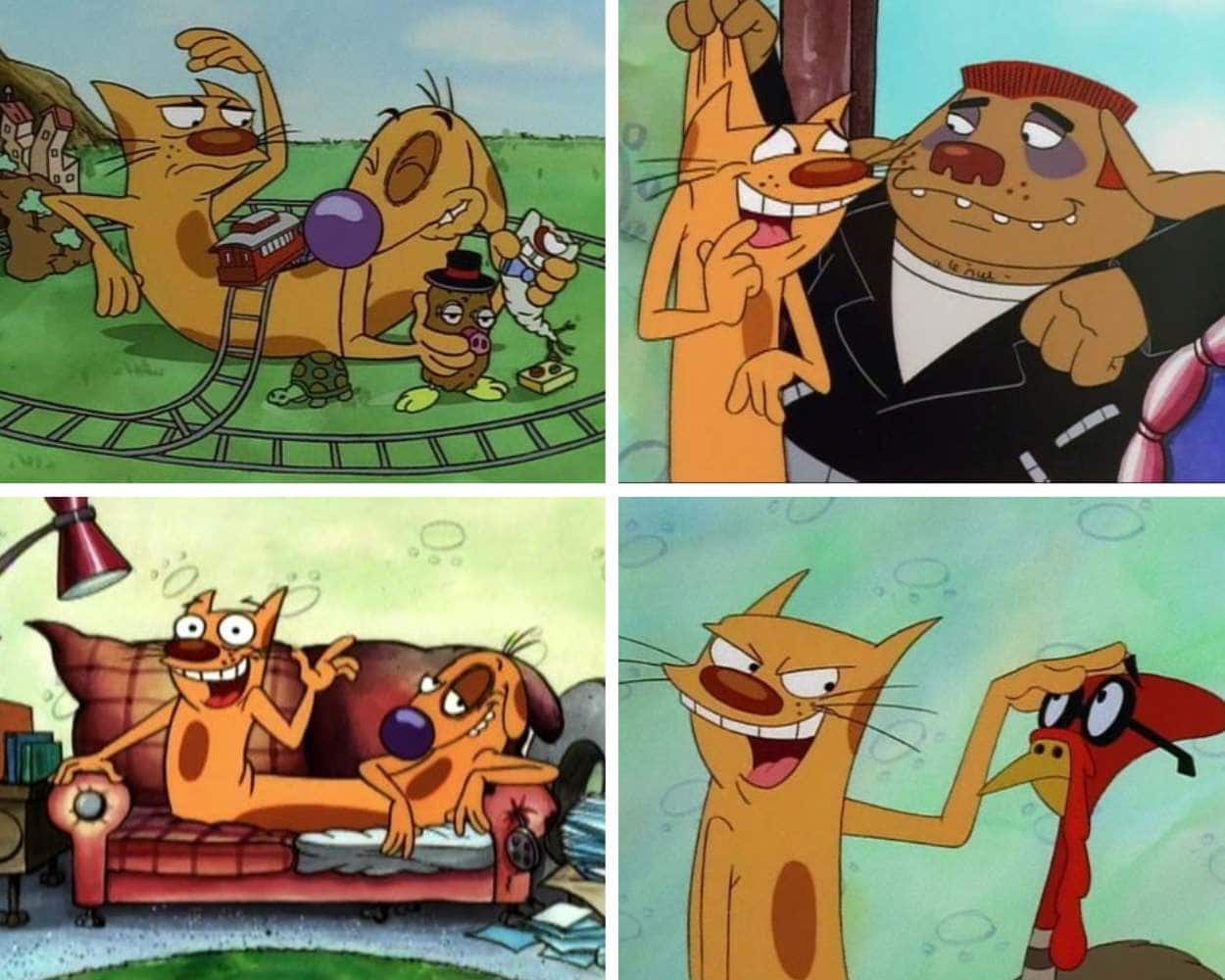CatDog