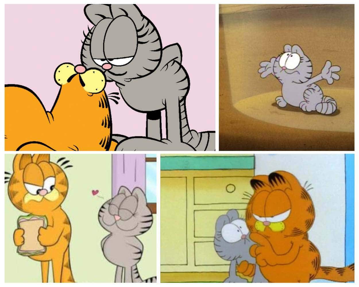 Nermal the world's cutest kitten