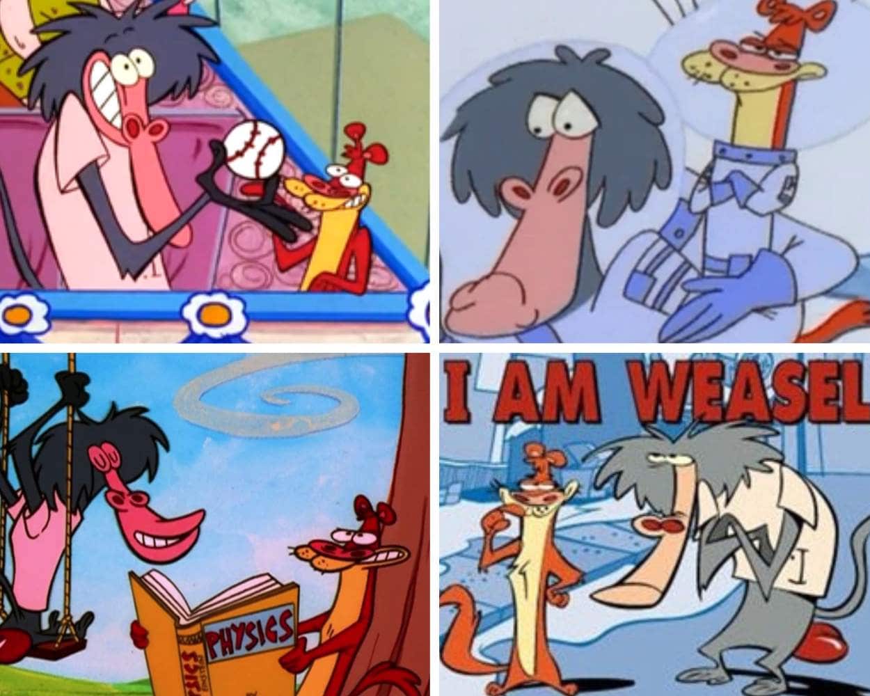 I Am Weasel