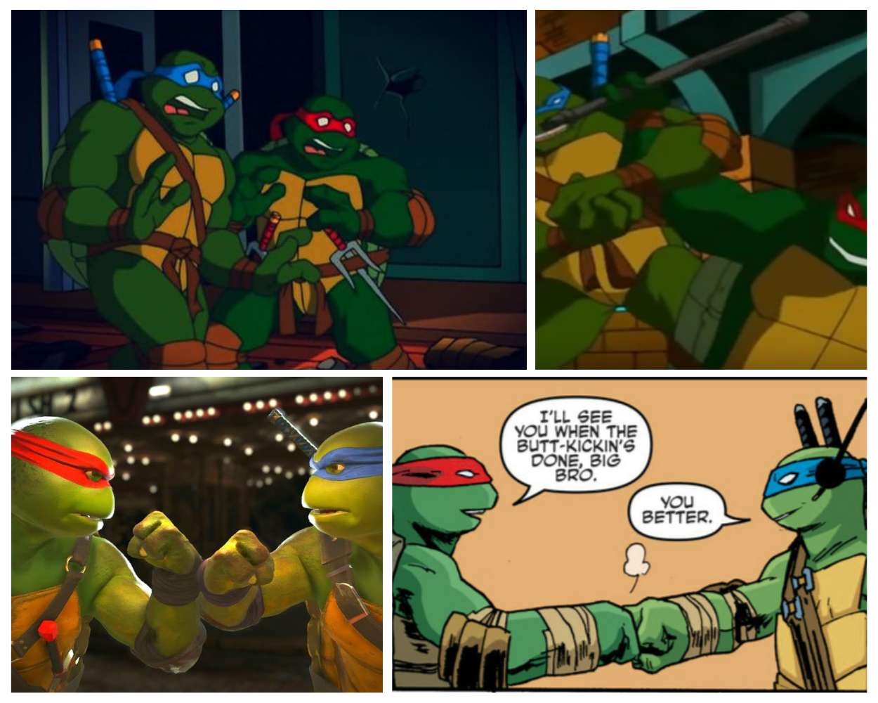Leonardo and Raphael Teenage Mutant Ninja Turtles duo