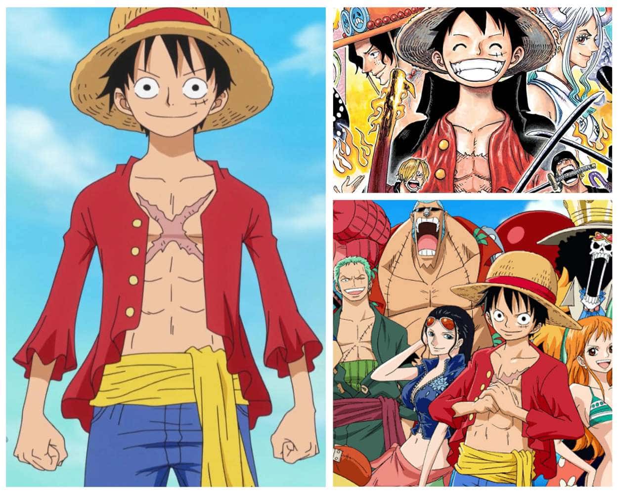 One Piece the pirate anime on Toonami