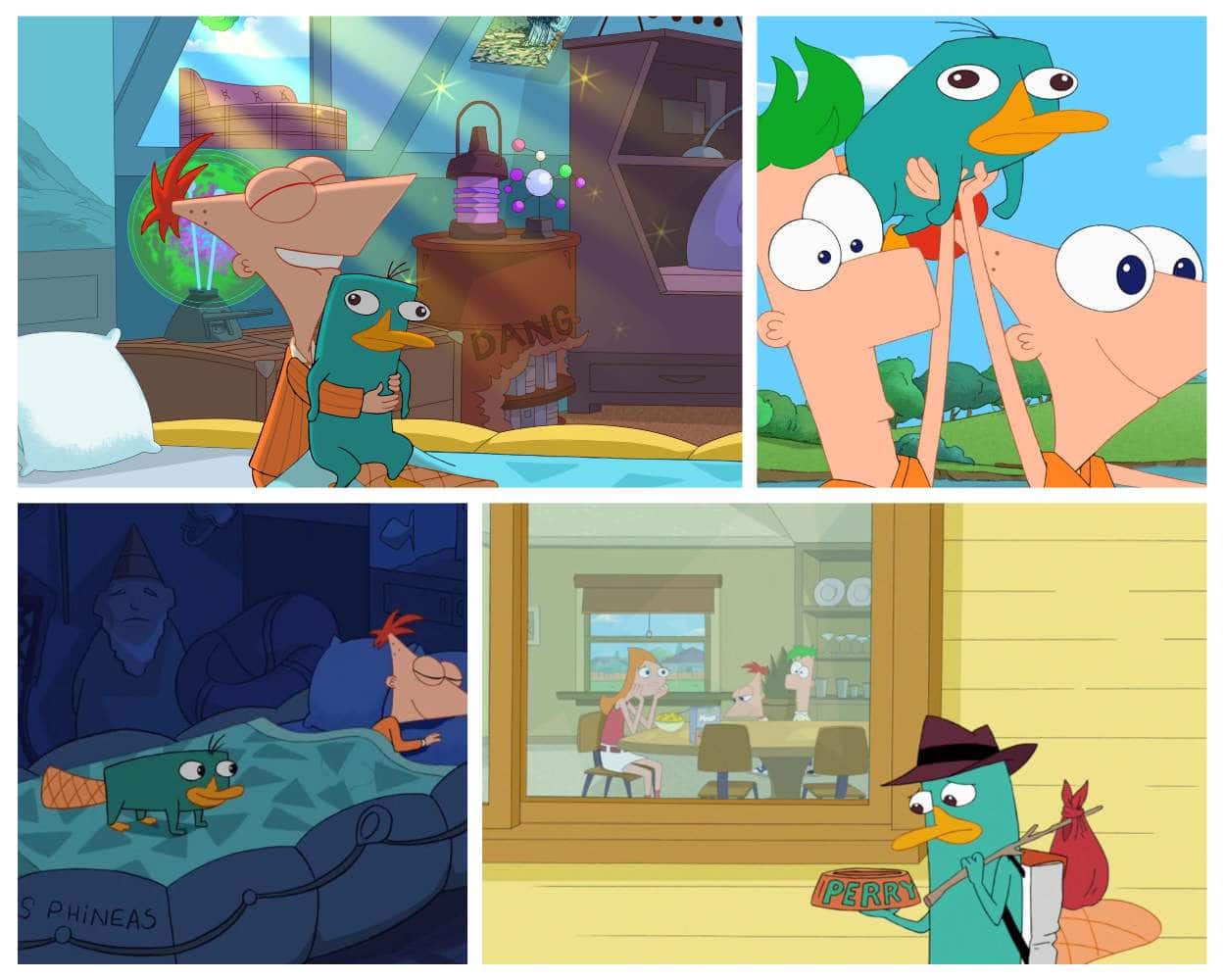 Phineas Flynn and Perry the Platypus secret agent
