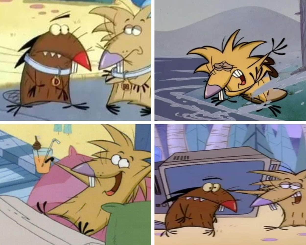 The Angry Beavers