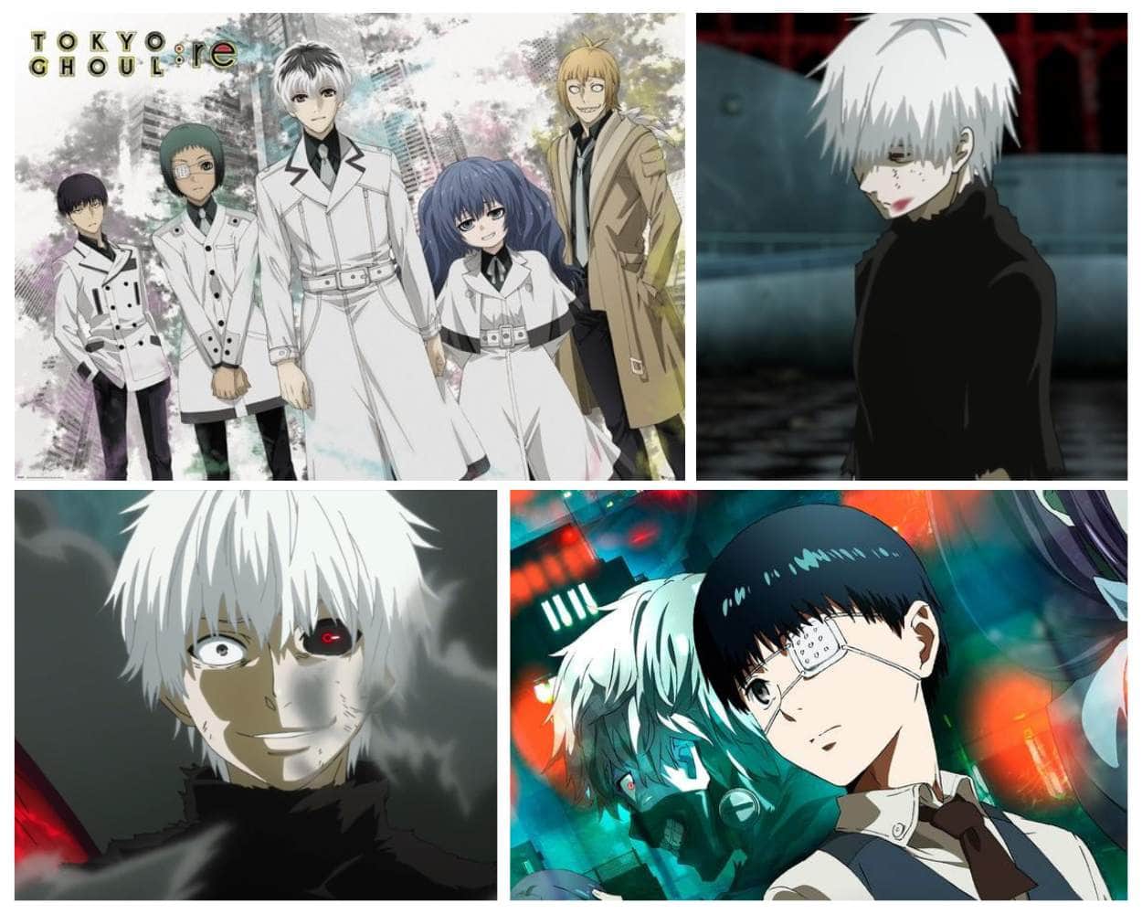 Tokyo Ghoul the dark hidden identity anime