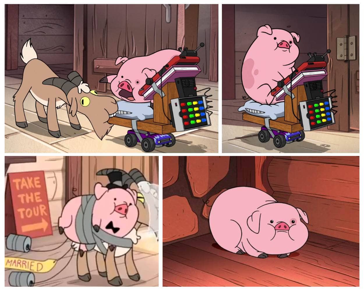Waddles