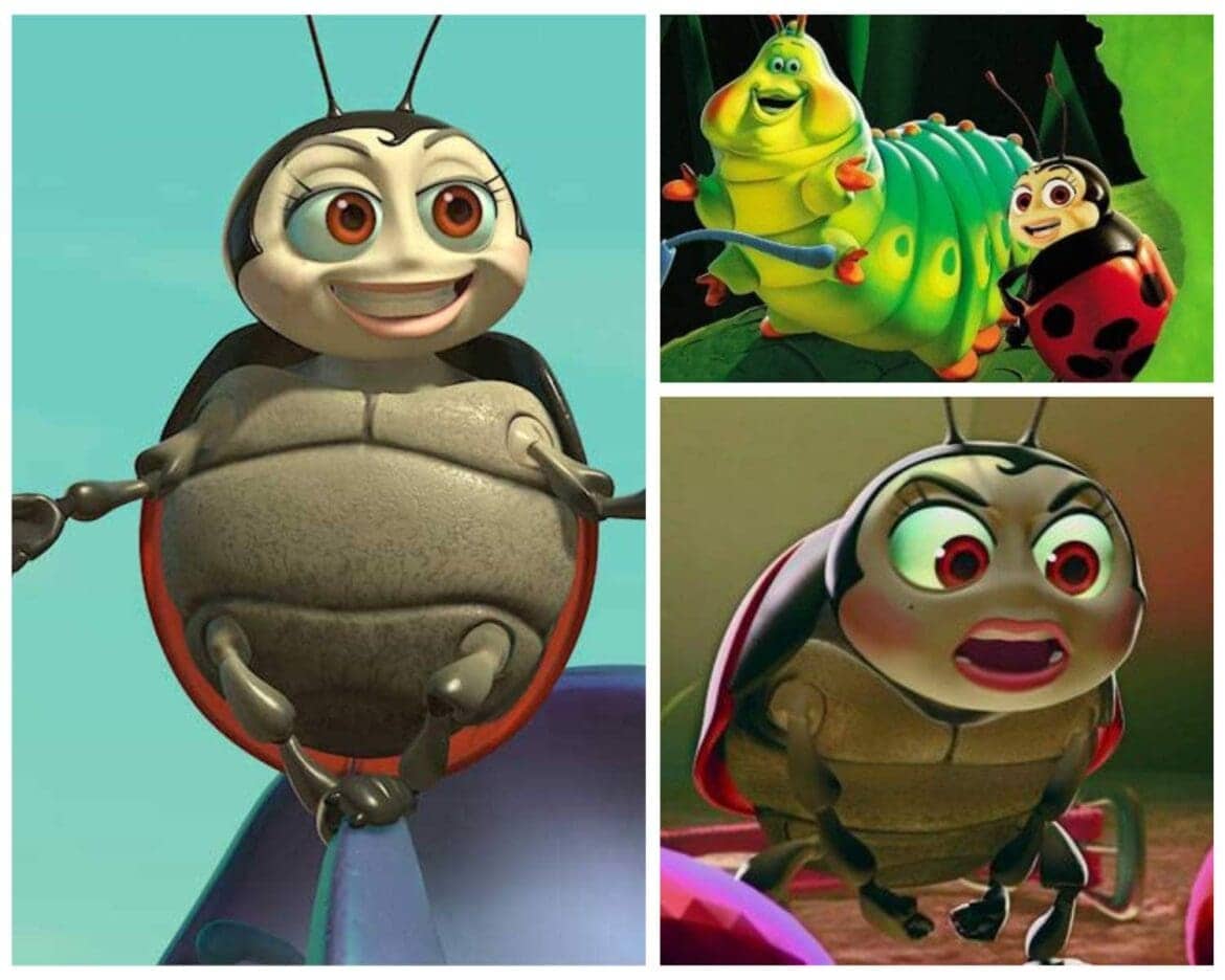 francis ladybug