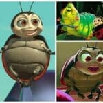 francis ladybug