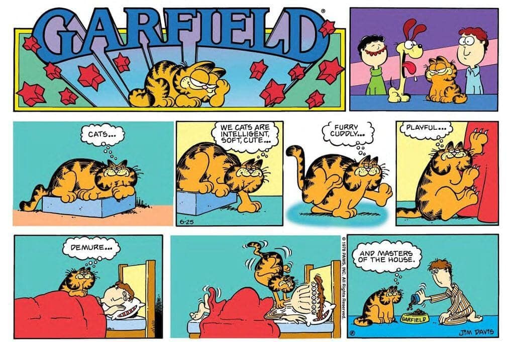 Garfield comic
