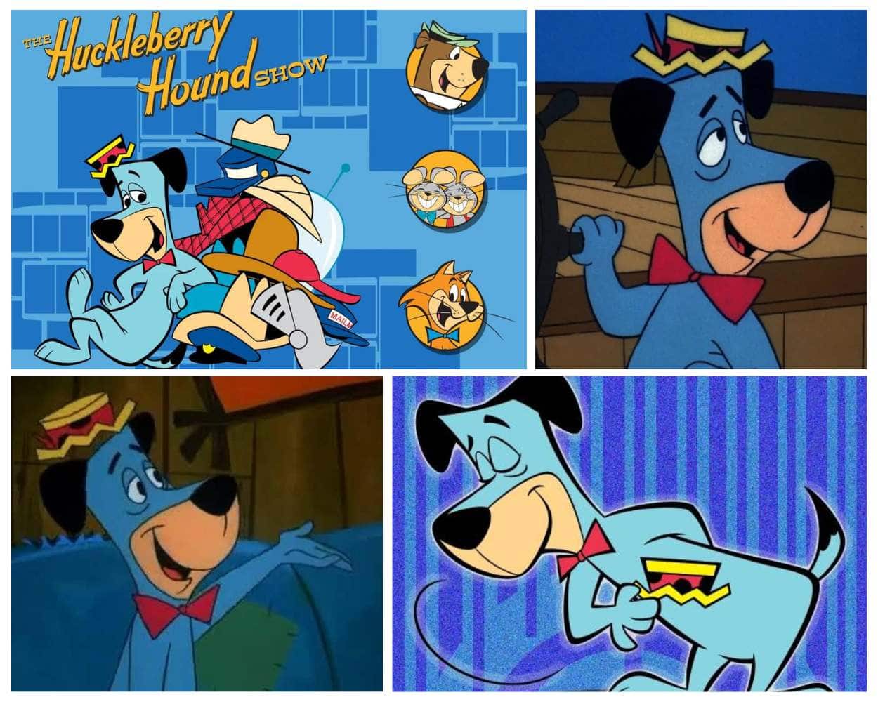 Huckleberry Hound blue cartoon dog