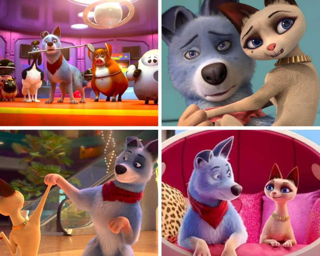 Pets United 2019 - direct-to-video animated pets adventure