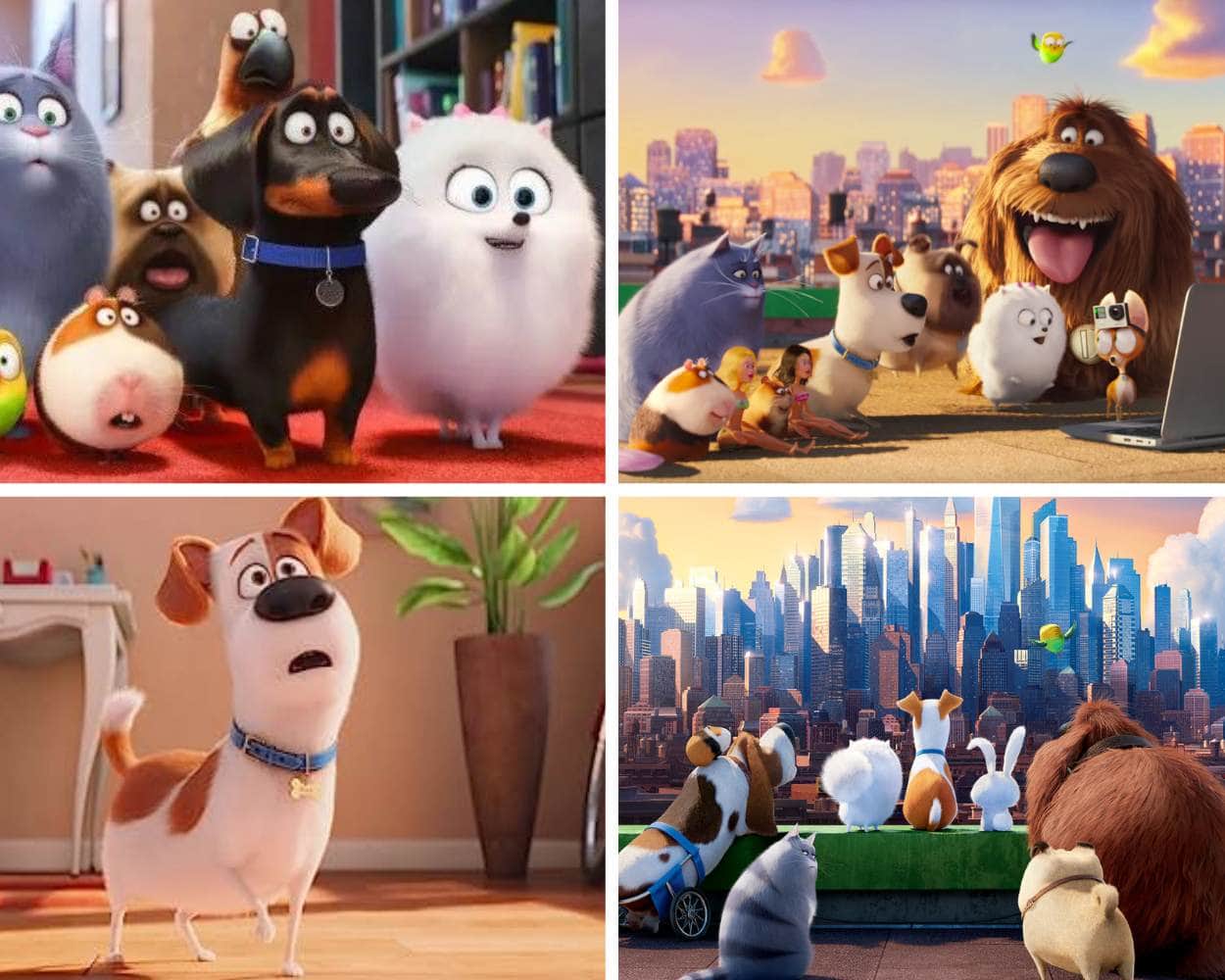 The Secret Life of Pets 2016 - Illumination Studios animated dog film