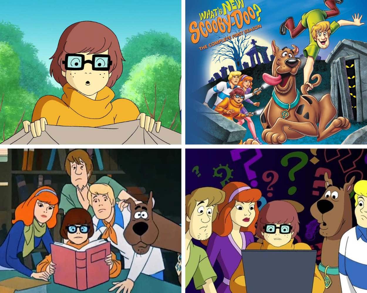 What's New Scooby-Doo 2000s kids show