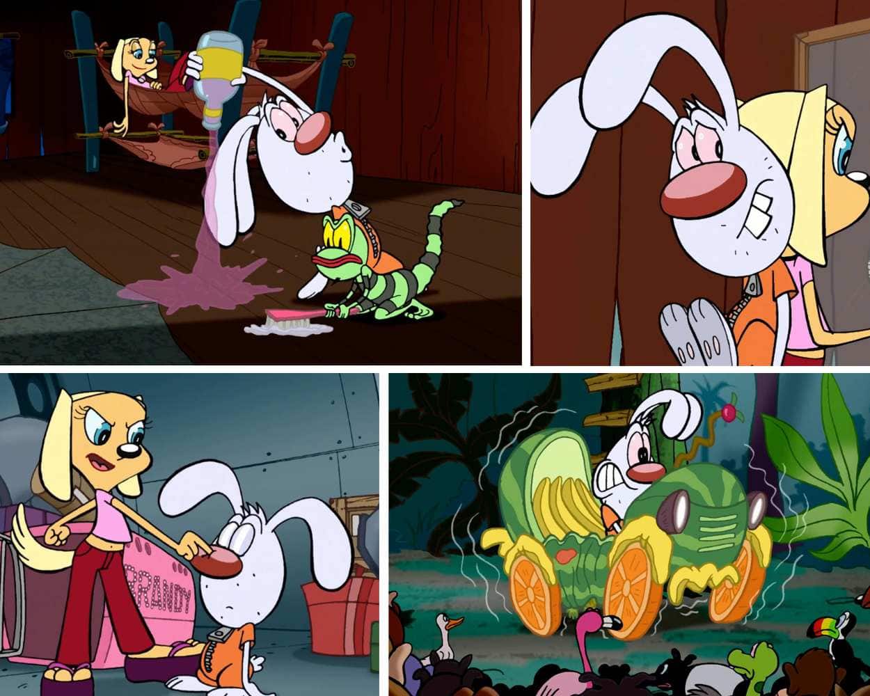 Mr Whiskers Friends