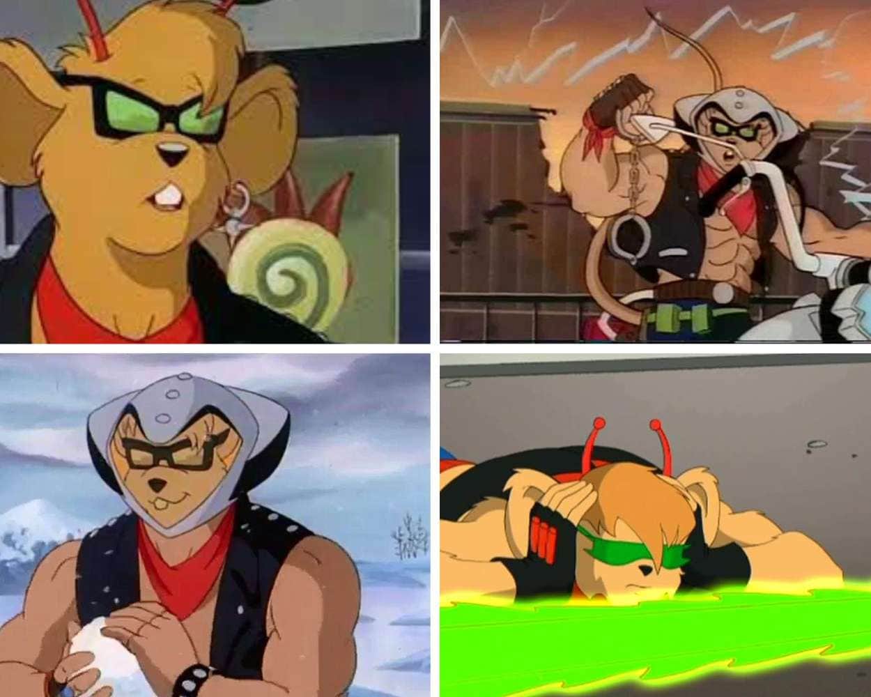 Throttle the leader of Biker Mice From Mars