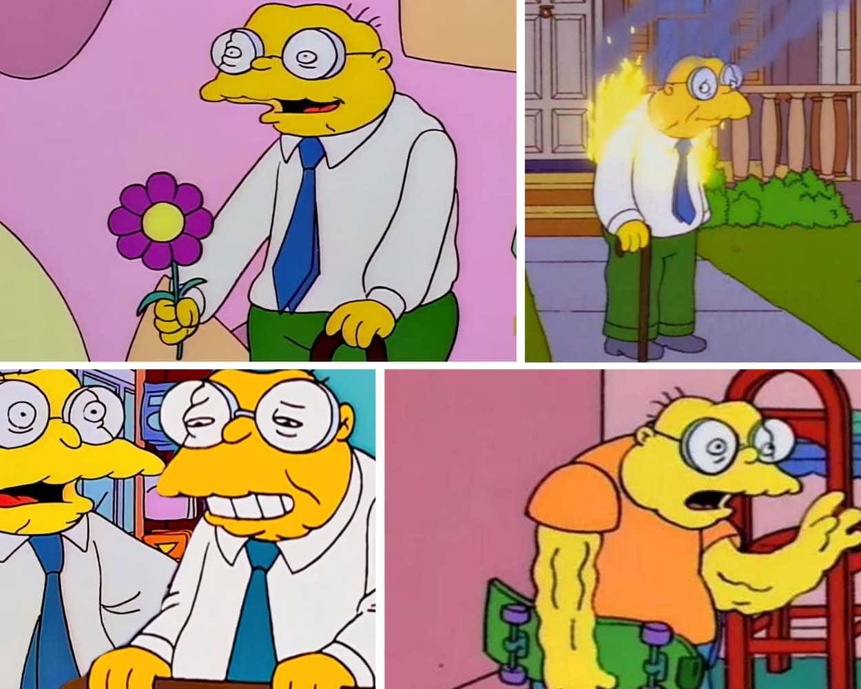 Hans Moleman from The Simpsons, odd cartoon character with large glasses and sad voice