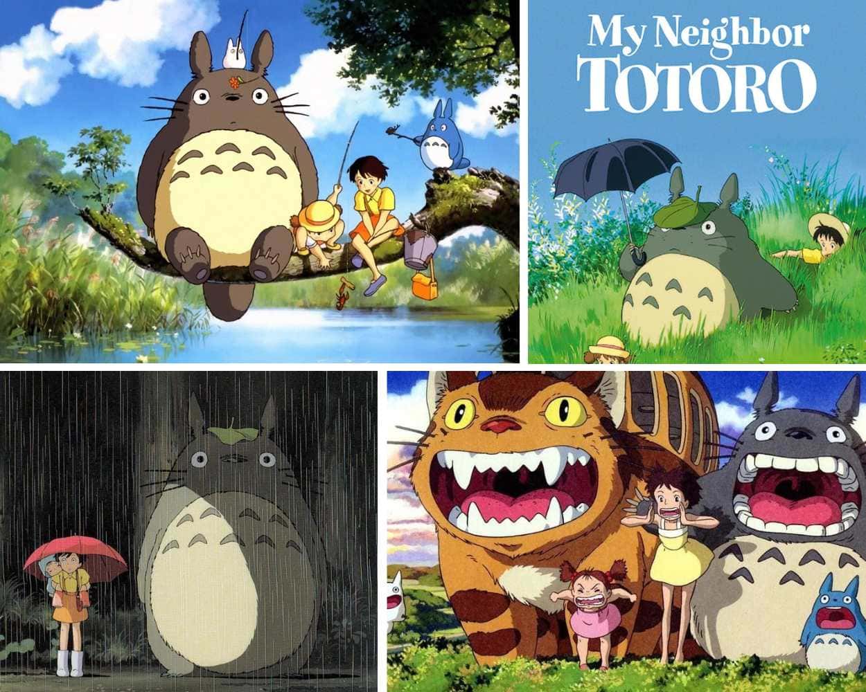 Totoro My Neighbor Totoro Studio Ghibli creature